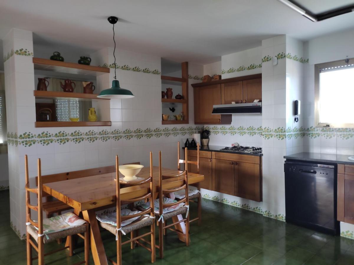 Villa De L'Ebre 델테브레 외부 사진